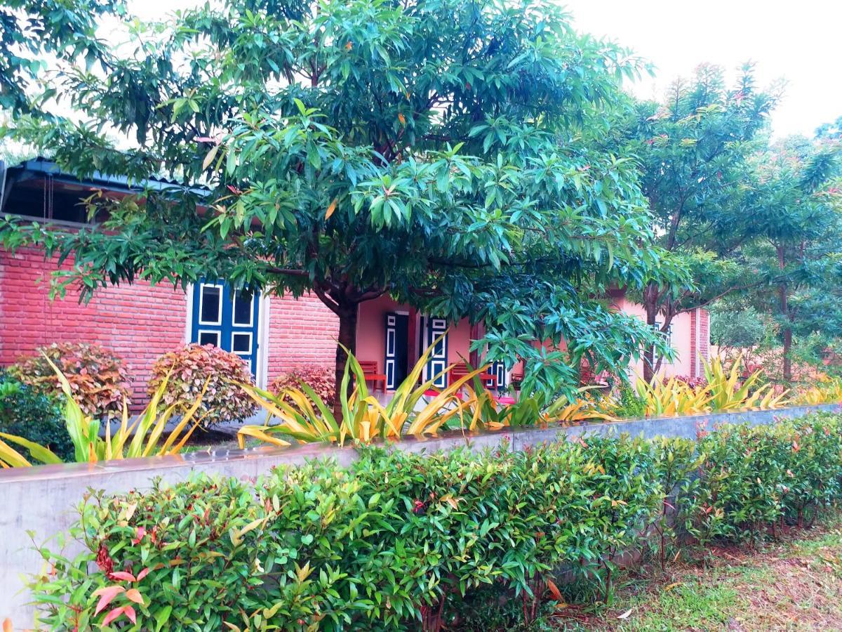 Hotel Honey Tree Polonnaruwa Exteriér fotografie