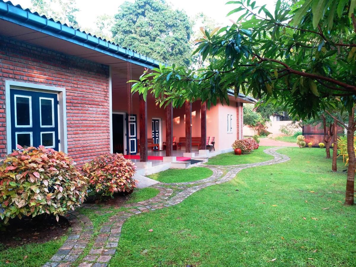 Hotel Honey Tree Polonnaruwa Exteriér fotografie